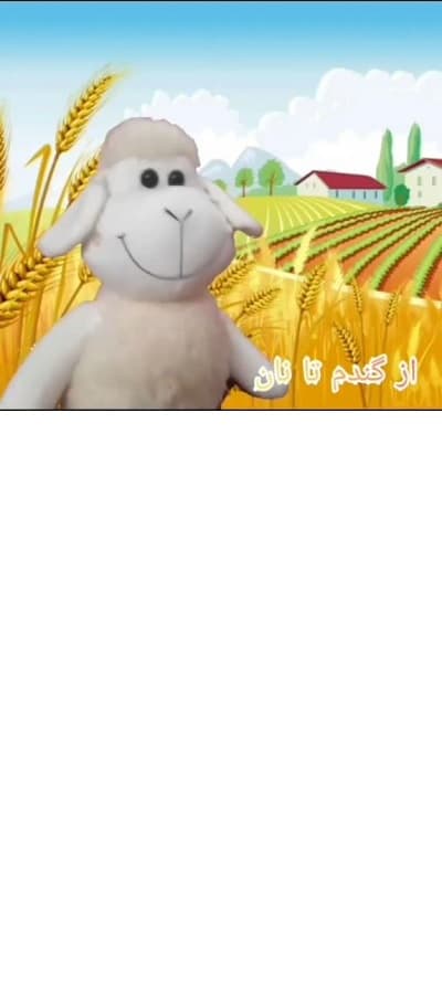 مراحل تولید نان